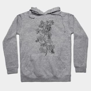 Vintage Botanical Illustration Hoodie